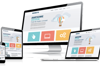 Web Design Professional Package